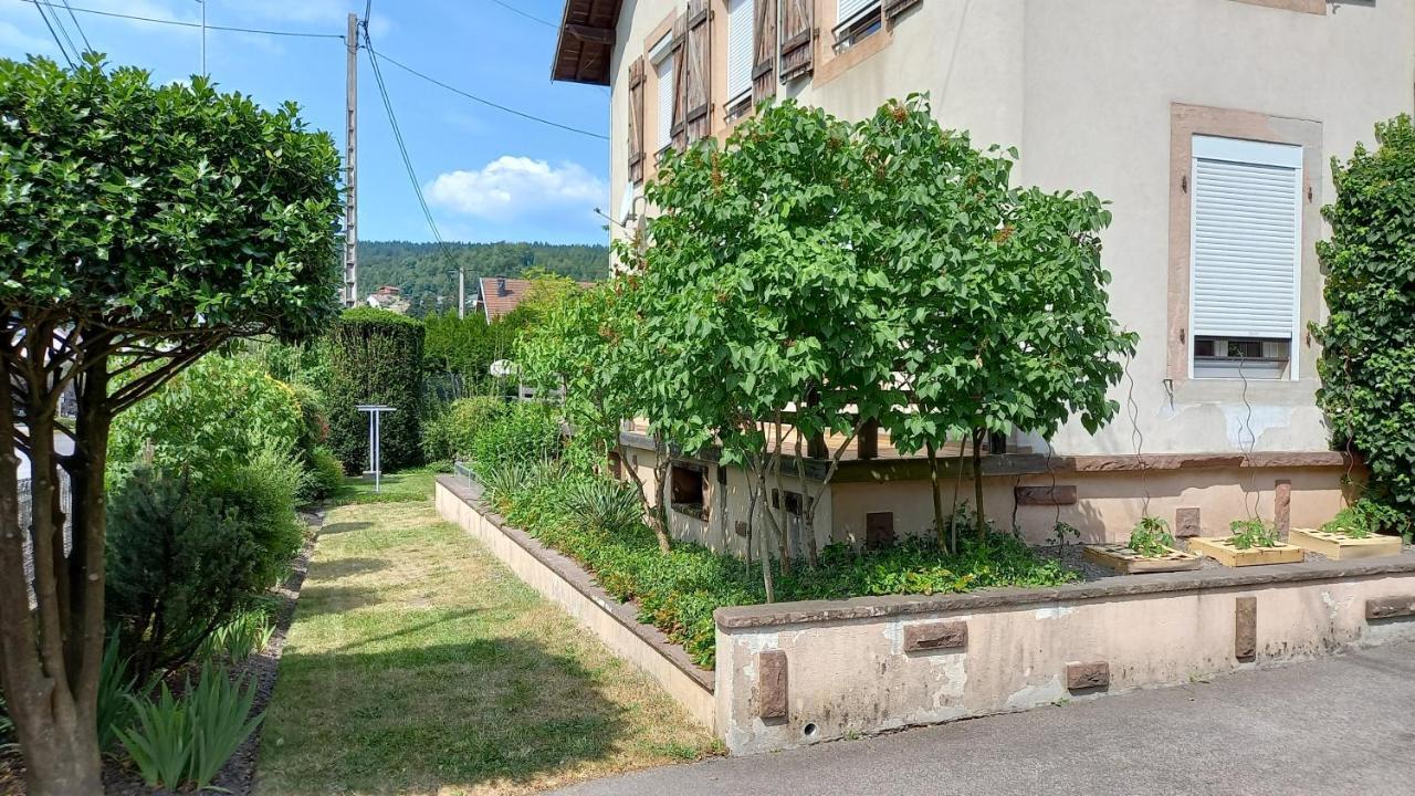 Studio D'Hotes A 10 Km De Gerardmer Льо Толи Екстериор снимка